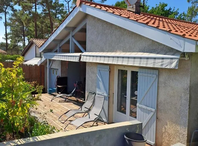 Appartement Location Meublee